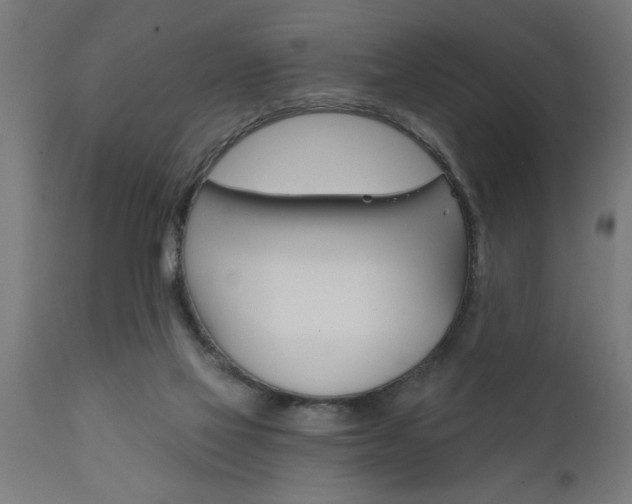 X0000111820069200907301306