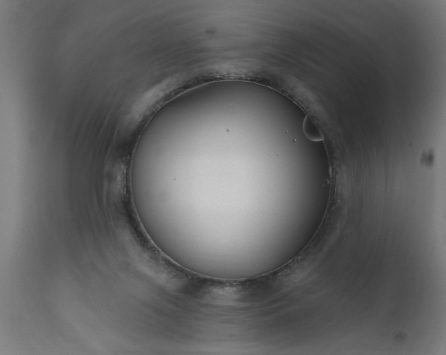 X0000111820071200907301306