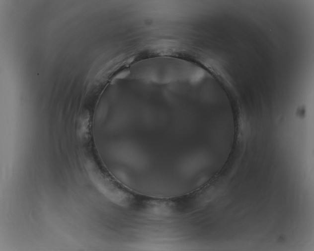 X0000111820073200907301306