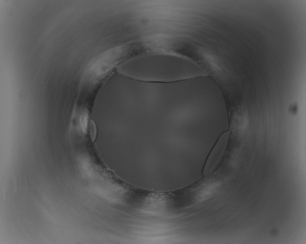 X0000111820076200907301306