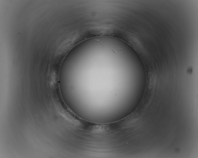 X0000111820077200907301306