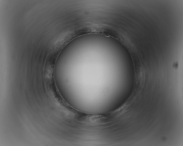 X0000111820078200907301306