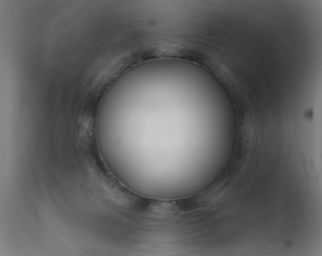 X0000111820079200907301306