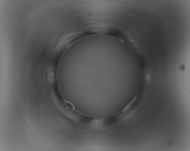 X0000111820080200907301306