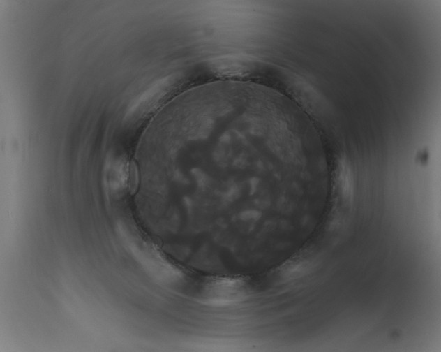 X0000111820081200907301306