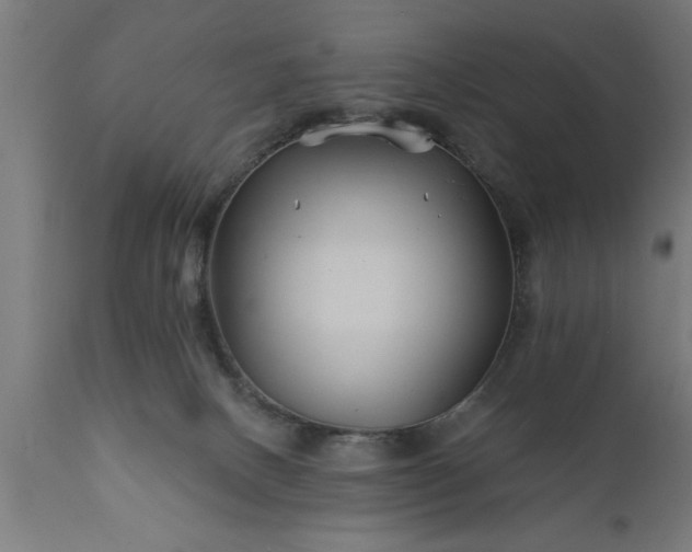 X0000111820082200907301306