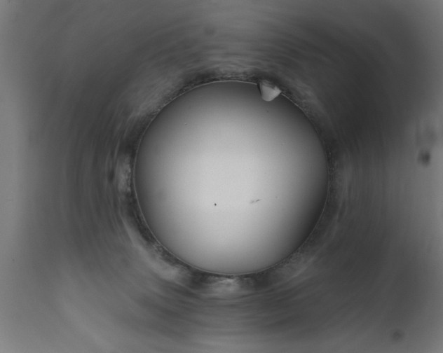 X0000111820083200907301306