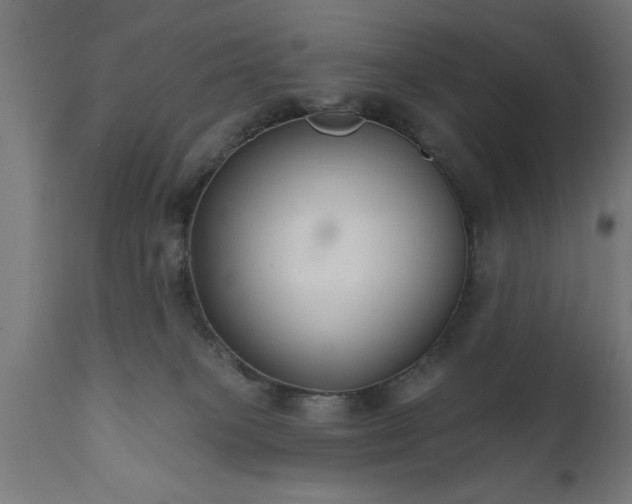 X0000111820085200907301306