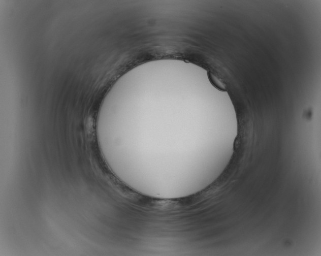 X0000111820087200907301306