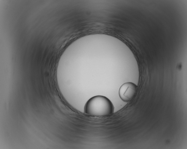 X0000111820088200907301306