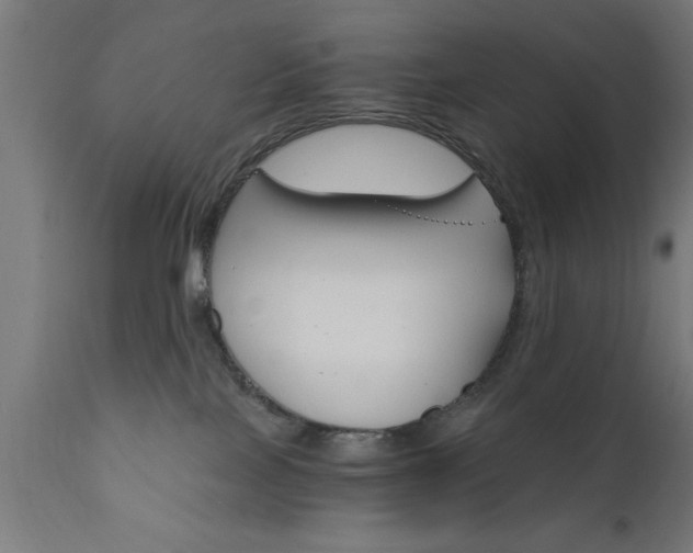 X0000111820089200907301307
