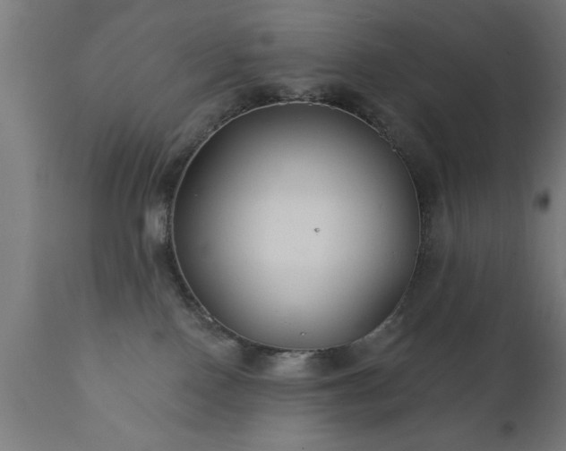 X0000111820090200907301307
