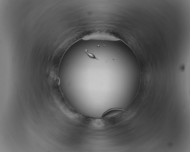 X0000111820091200907301307
