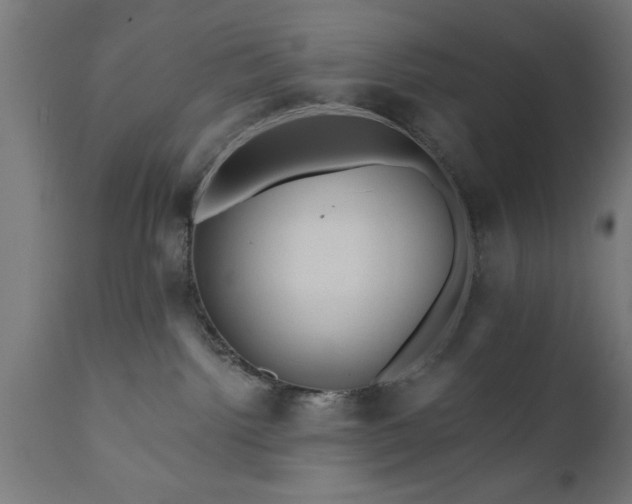 X0000111820092200907301307
