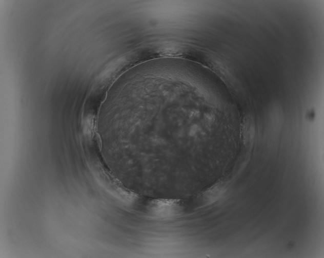 X0000111820093200907301307