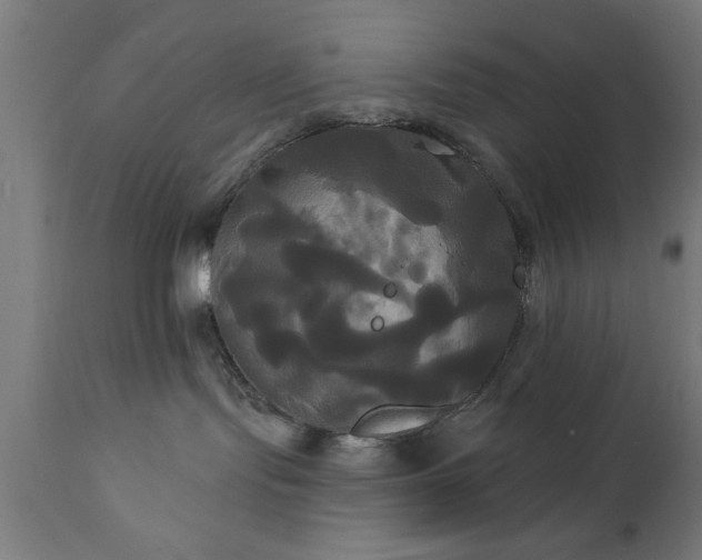 X0000111820095200907301307