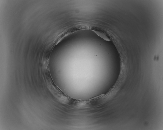 X0000111820096200907301307