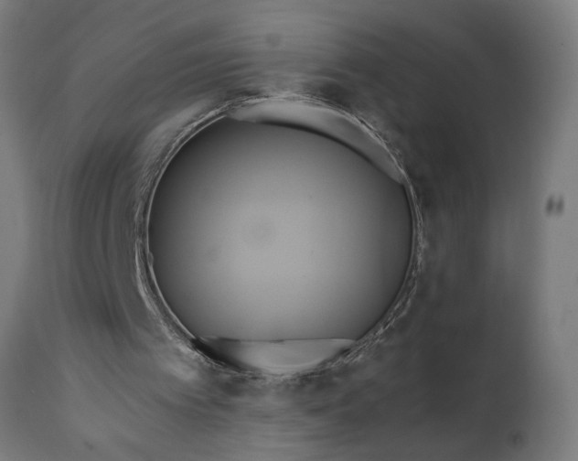 X0000111820097200907301306