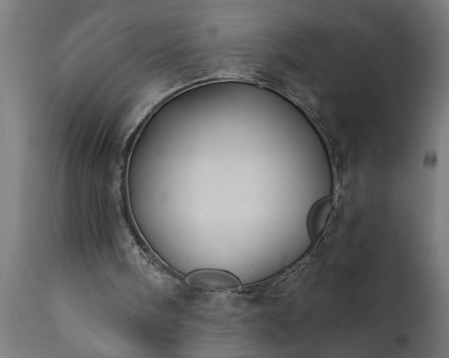 X0000111820098200907301306