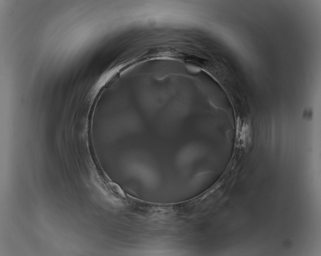 X0000111820099200907301306