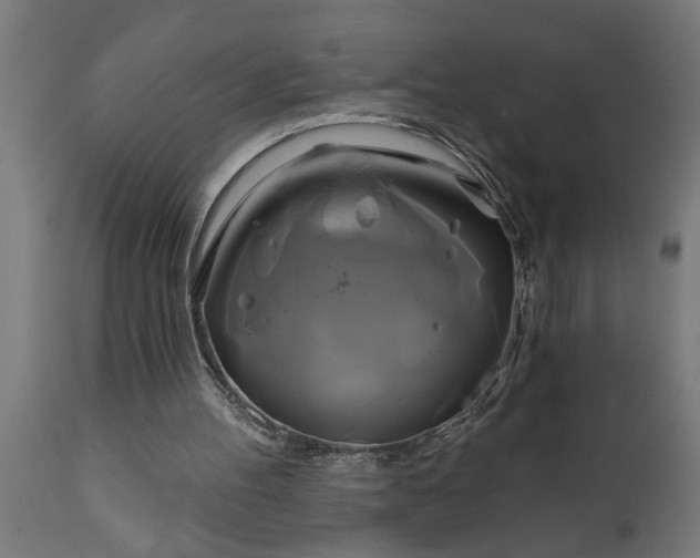X0000111820100200907301306