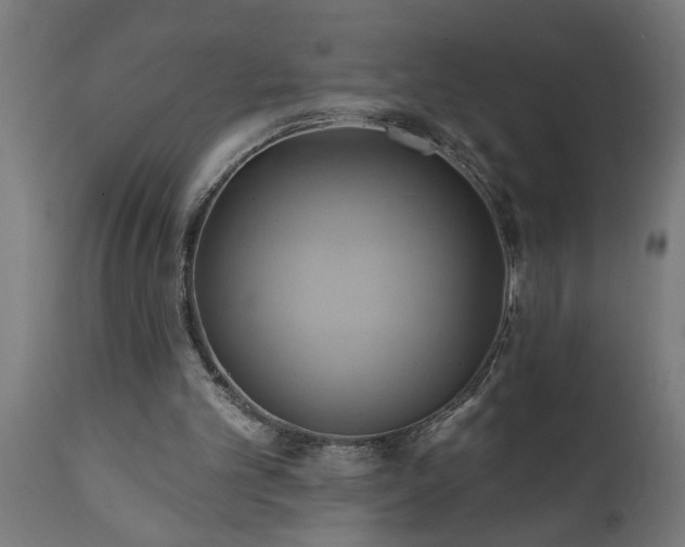 X0000111820101200907301306