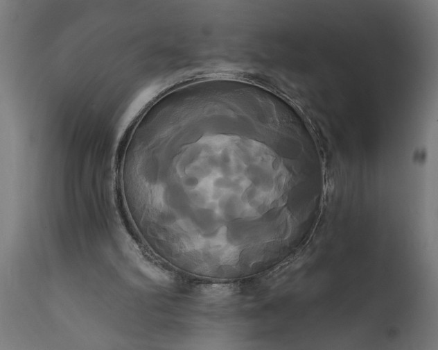 X0000111820102200907301306