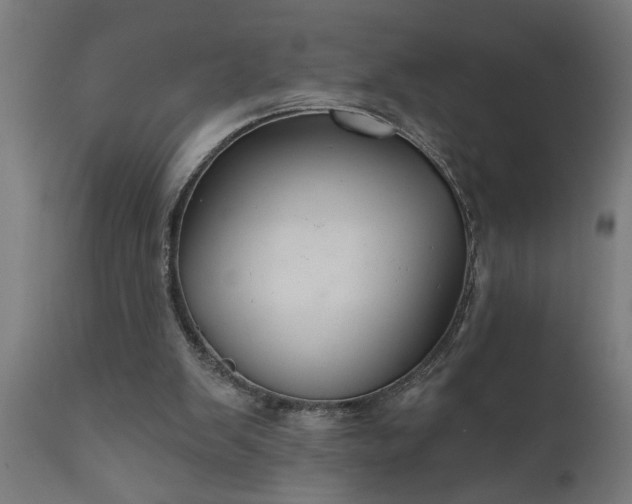 X0000111820103200907301306