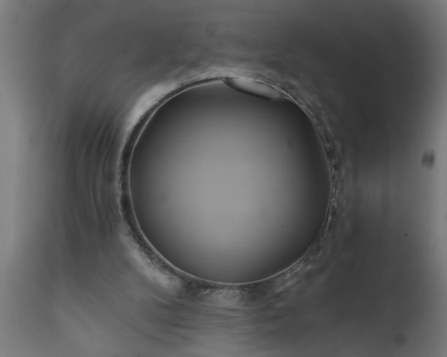 X0000111820104200907301306