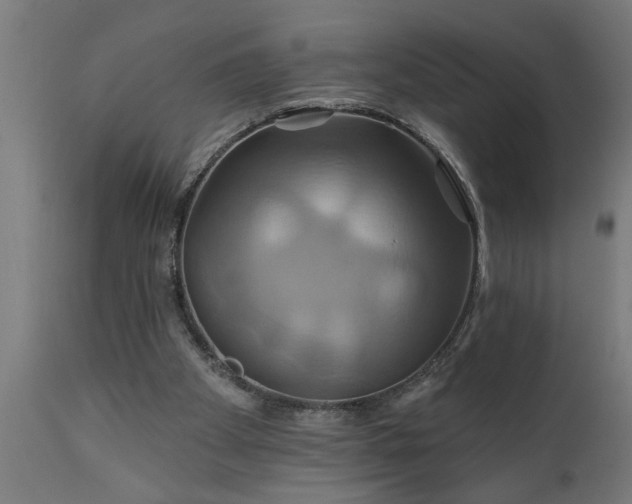X0000111820105200907301306