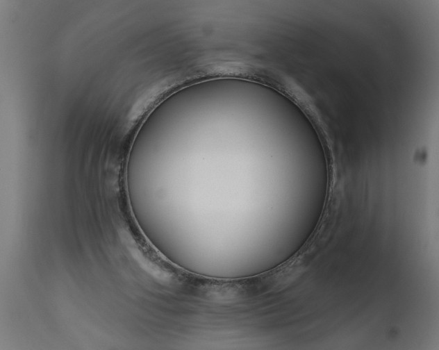 X0000111820106200907301306