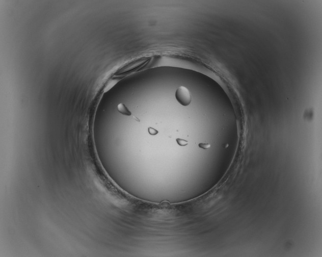 X0000111820107200907301306
