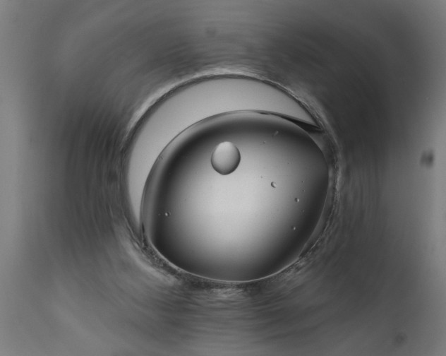 X0000111820108200907301306