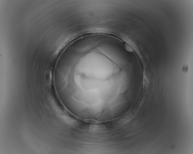 X0000111820109200907301306