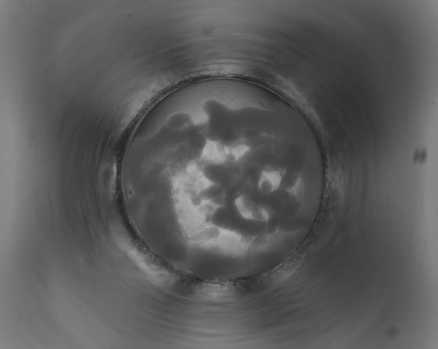 X0000111820110200907301306