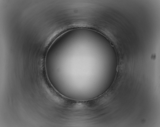 X0000111820111200907301306