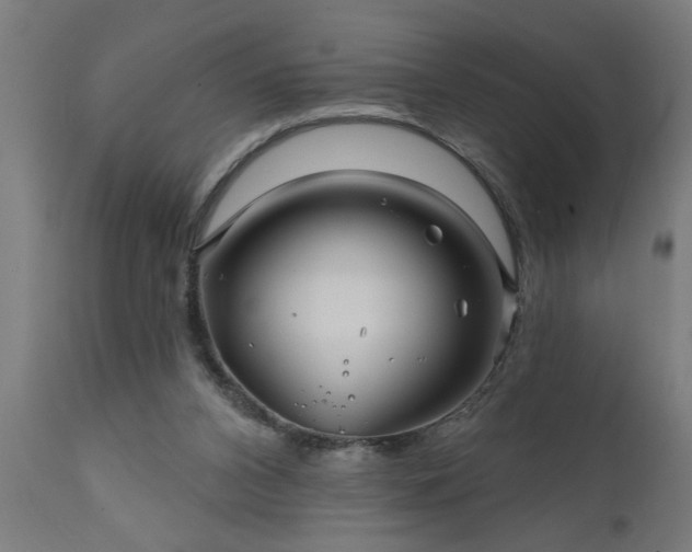 X0000111820112200907301306