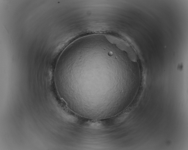 X0000111820113200907301306