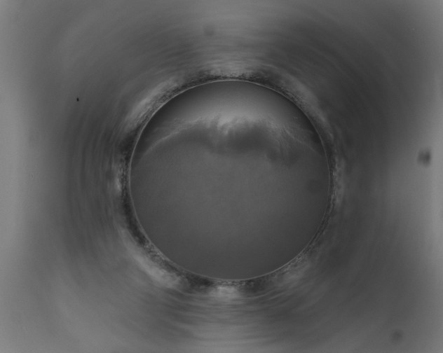 X0000111820114200907301306