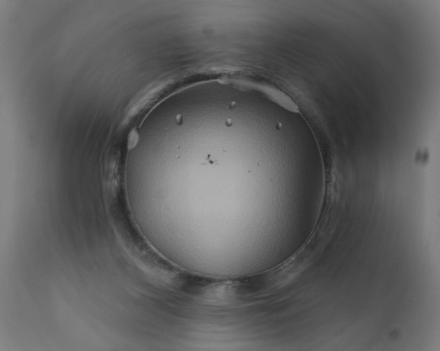 X0000111820116200907301306