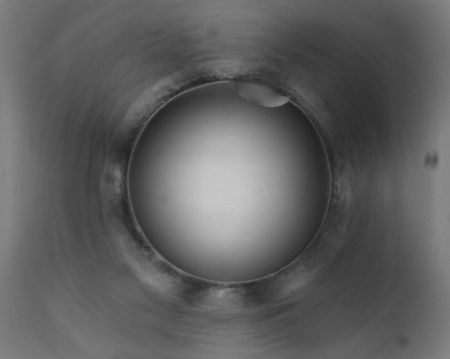 X0000111820117200907301306