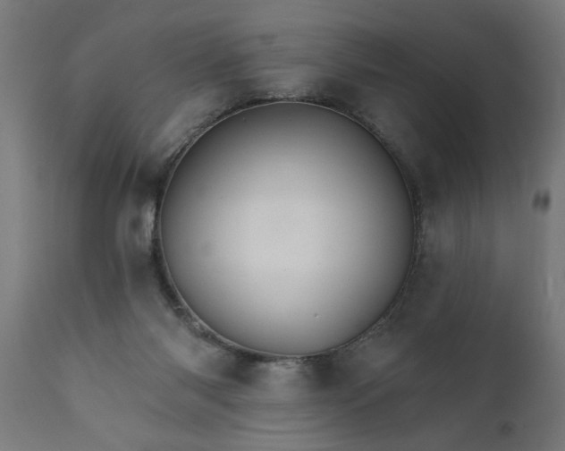 X0000111820118200907301306