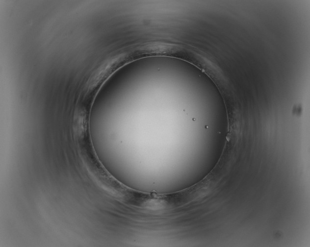 X0000111820119200907301306