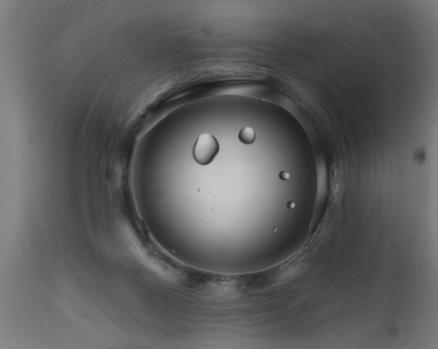 X0000111820120200907301306