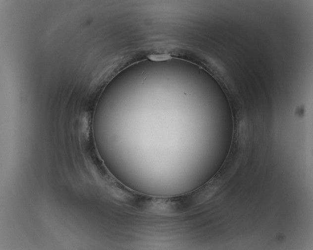 X0000111820121200907301306