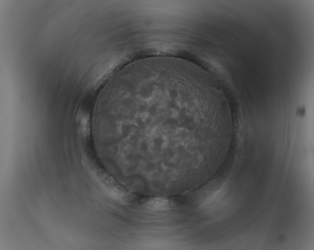 X0000111820123200907301306