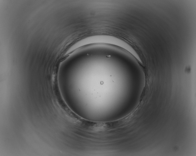X0000111820124200907301306