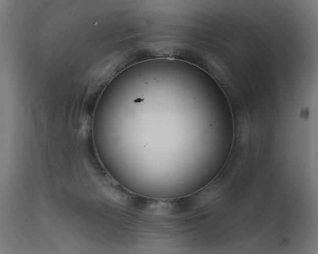 X0000111820125200907301306