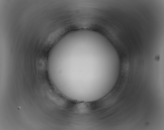 X0000111820126200907301306