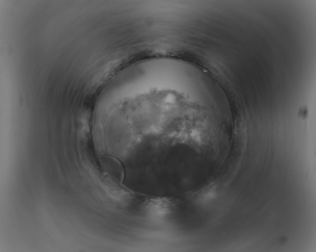 X0000111820127200907301306
